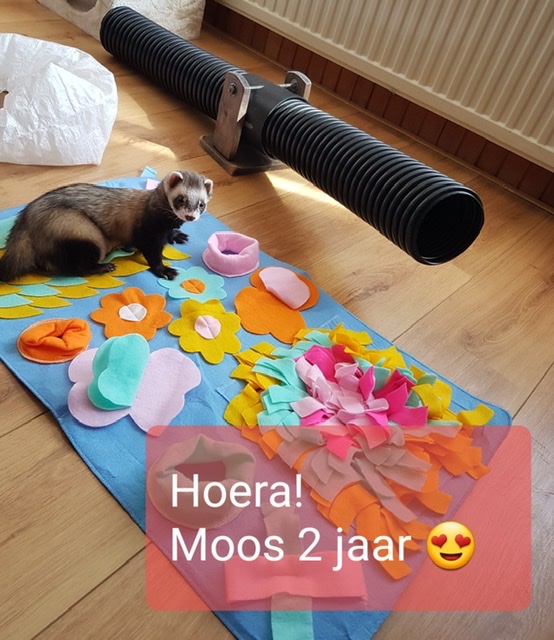 4F0D2784-16DF-44E9-9389-D3C6E5D701BC.jpeg