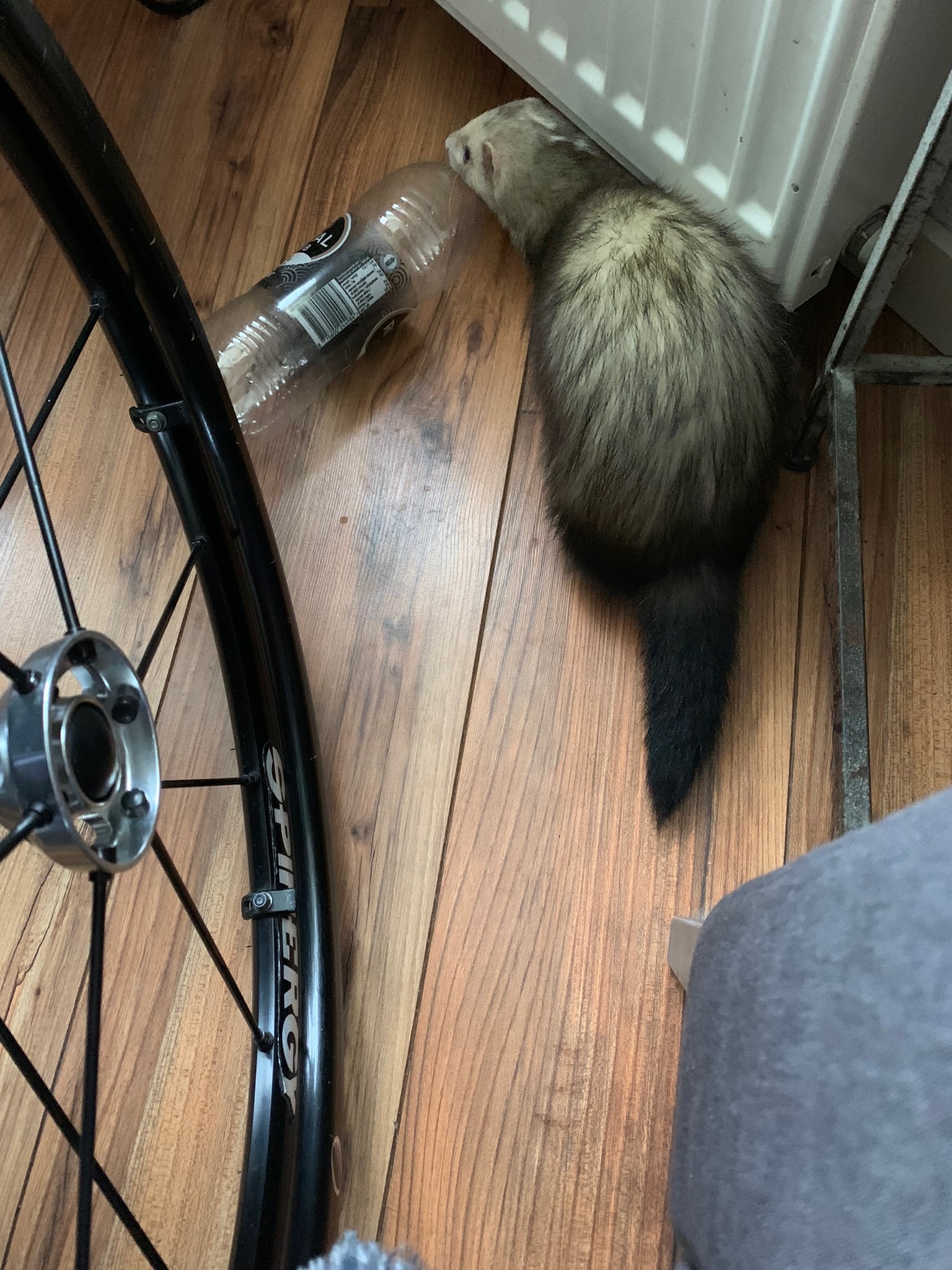 94402447-6A5D-4F70-A1DA-E062941F4AC2.jpeg