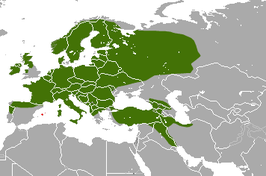 266px-European Pine Marten area.png