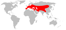 266px-Beech marten distmap.png