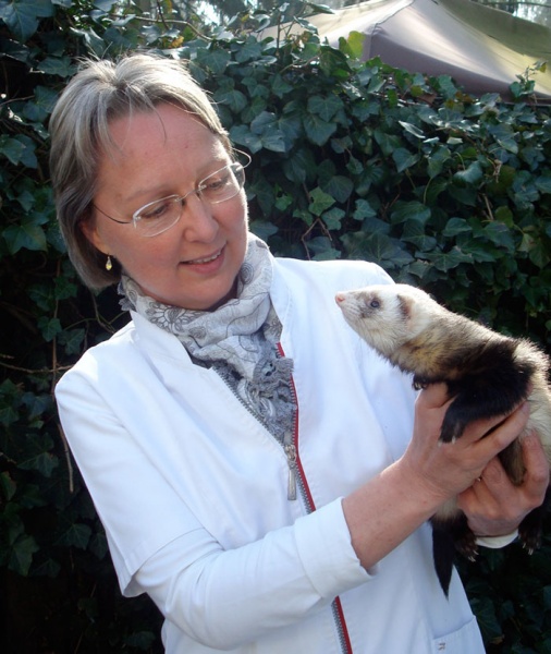 Bestand:Hanneke voorstel.jpg