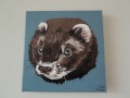 Miniatuurafbeelding voor de versie van 3 mrt 2013 om 18:40