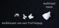 Miniatuurafbeelding voor de versie van 15 mrt 2013 om 14:12