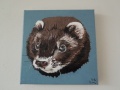 Miniatuurafbeelding voor de versie van 3 mrt 2013 om 18:52